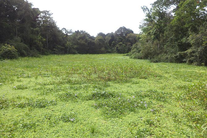 Discover the Amazon for 3 Days 2 Nights - Key Points