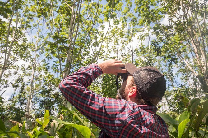 Discover the Amazon for 3 Days 2 Nights - A Deep Dive into the 3-Day Amazon Tour