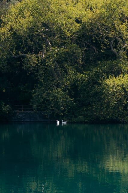 Discover the Archaeological museum of Mesara and Lake Zaros - Final Thoughts