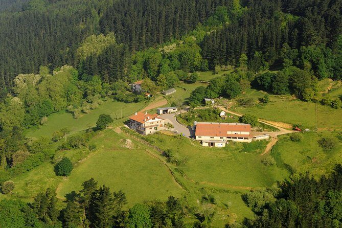 Discover the Art of Idiazabal Cheese in the Basque Country - What We Loved and What to Consider