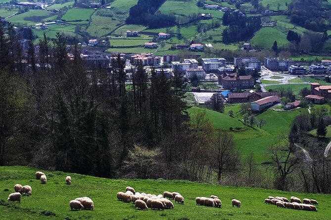 Discover the Art of Idiazabal Cheese in the Basque Country - The Sum Up