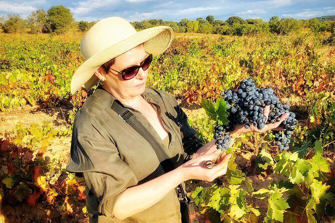 Discover the authentic wine culture of Rueda - Who Should Consider This Tour?