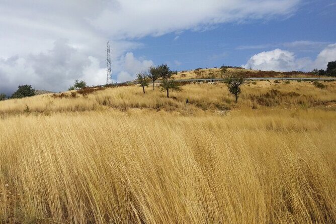 Discover the Best of Albania: 7 Days of Highlights & Hidden Gems - Final Thoughts