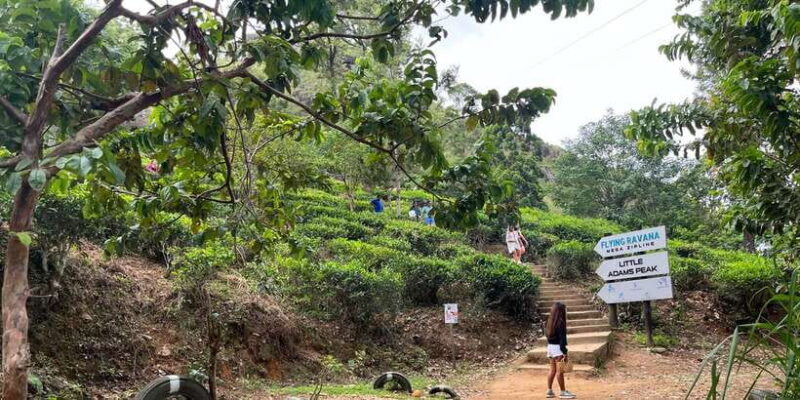 Discover the Best of Sri Lanka in 2 Days - Key Points