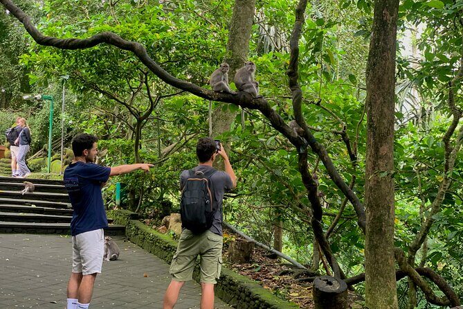 Discover The Best of Ubud: All-Inclusive and Private Guided Tour - Frequently Asked Questions