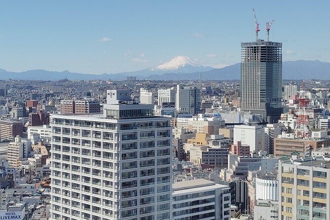 Discover the Best of Yokohama: 4.5-Hour Day Tour - FAQ