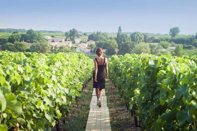 Discover The Cellars in The Heart of The Countryside in Champagne - A Deep Dive into the Champagne Experience
