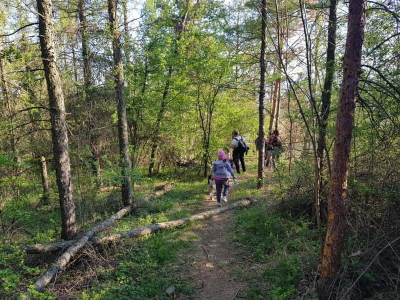 Discover the Charm of Guteria Hill/Sibiu Panorama - Discover the Charm of Guteria Hill/Sibiu Panorama