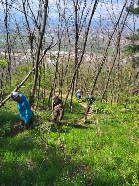 Discover the Charm of Guteria Hill/Sibiu Panorama - Frequently Asked Questions