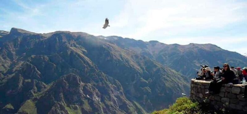 Discover the Colca Valley and the Condor's Cross in 2 Days - Who Will Love This Tour?