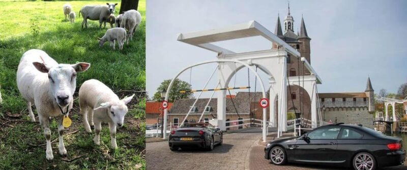 Discover the Dutch Countryside: Car Tour with Local Expert - The Alfa Spider Option