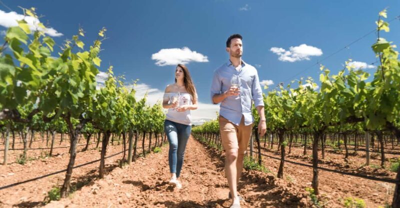 Discover the Essence of Ibizas rich wine culture - FAQ