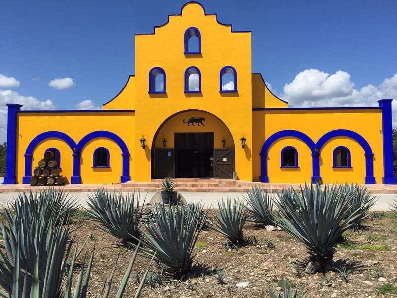 Discover the essence of playa del carmen: tequilera, jewelry and 5th avenue. - An In-Depth Look at the Tour