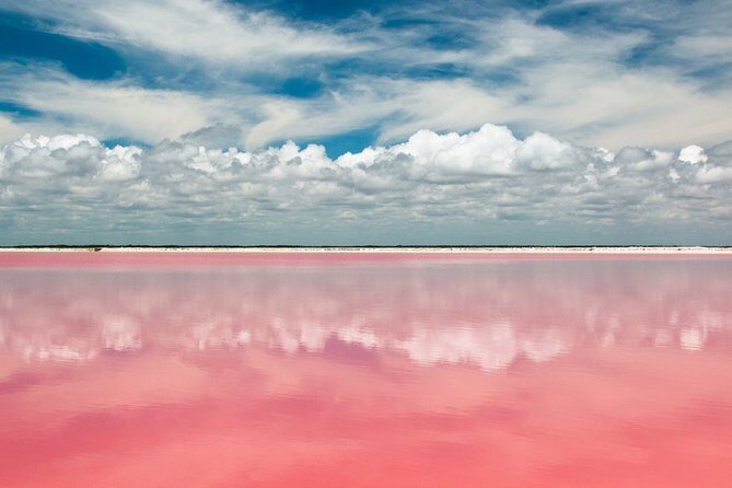 Discover the FABULOUS PINK WATERS in the Caribean - In-Depth Look at the Tour Experience