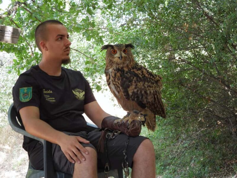 Discover the fantastic world of birds of prey in the Pollino National Park. - An In-Depth Look at the Pollino National Park Bird of Prey Tour
