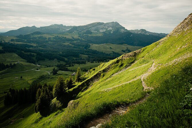 Discover the Hidden Gems of Interlaken Through Your Lens - Final Thoughts: Is This Tour Right for You?