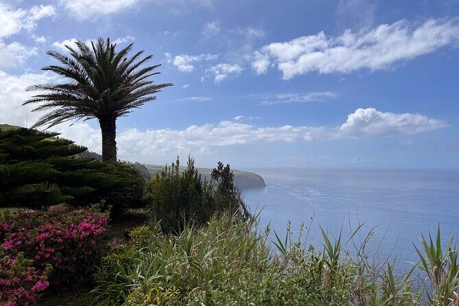 Discover the Hidden Gems of São Miguel - Full Day Private Tour - Stop 4: Nordeste – The Oldest Region