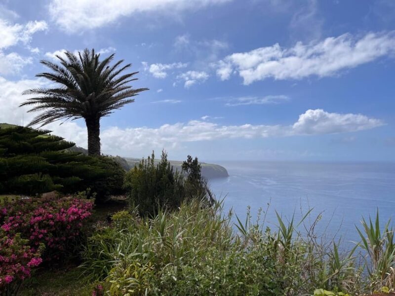 Discover the Hidden Gems of São Miguel Full Day Private Tour - An In-Depth Look at the Discover the Hidden Gems of São Miguel Tour