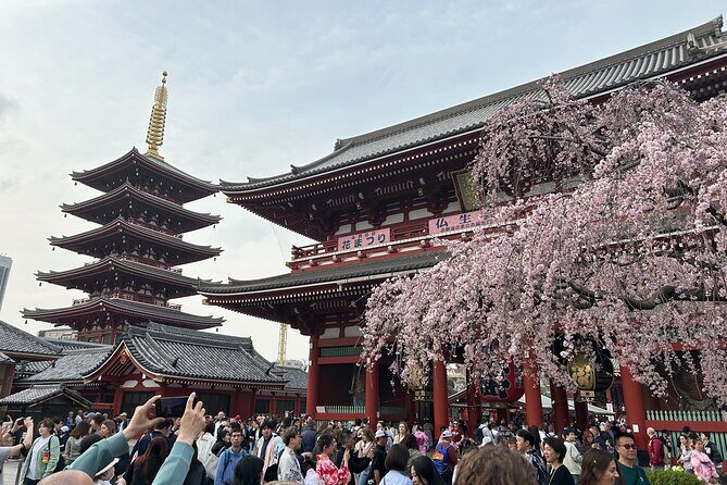 Discover the hidden gems of Tokyo:Private Tour with a Local Guide - FAQ