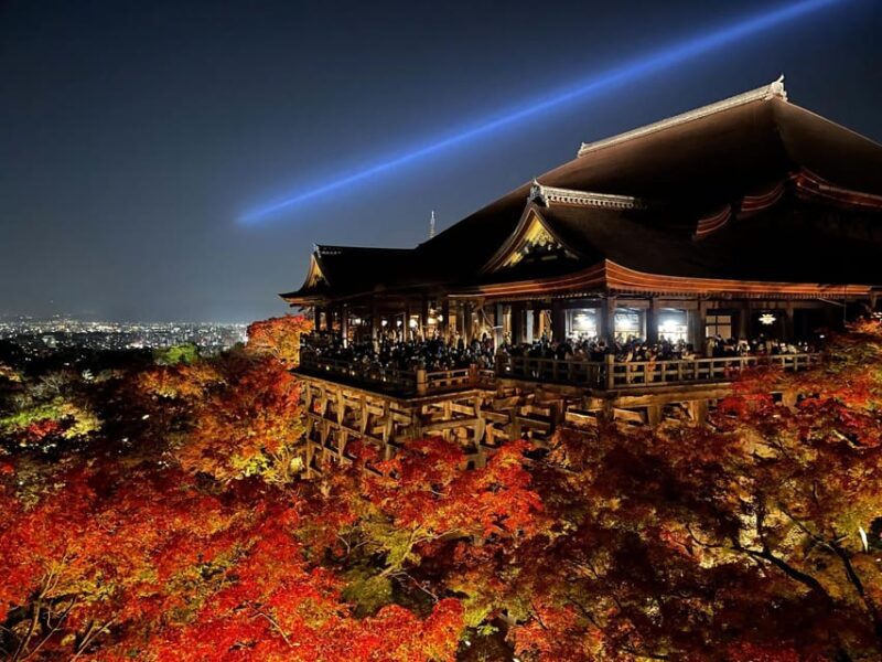 Discover the Highlights in Kyoto & Nara in 3 DAYS ! - Why This Tour Offers Good Value