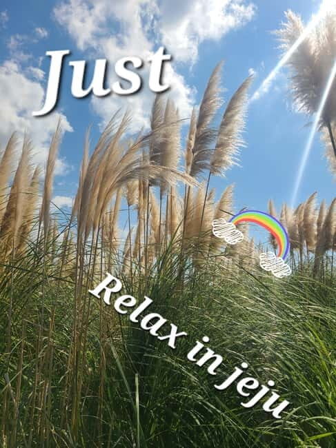 Discover the highlights of Jeju island and its UNESCO sites! - Why This Tour Is Worth It