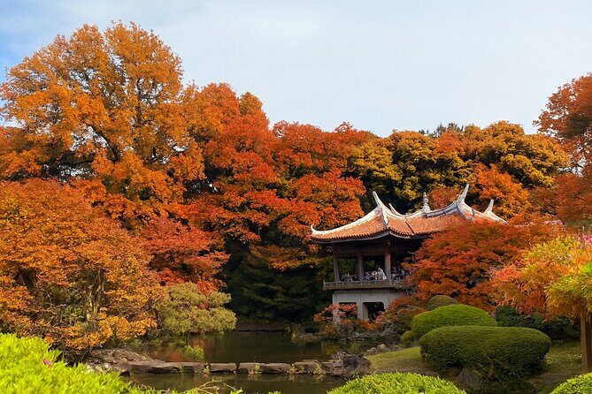 Discover the History of Shinjuku Gyoen Private Walking Tour - Discover the History of Shinjuku Gyoen Private Walking Tour
