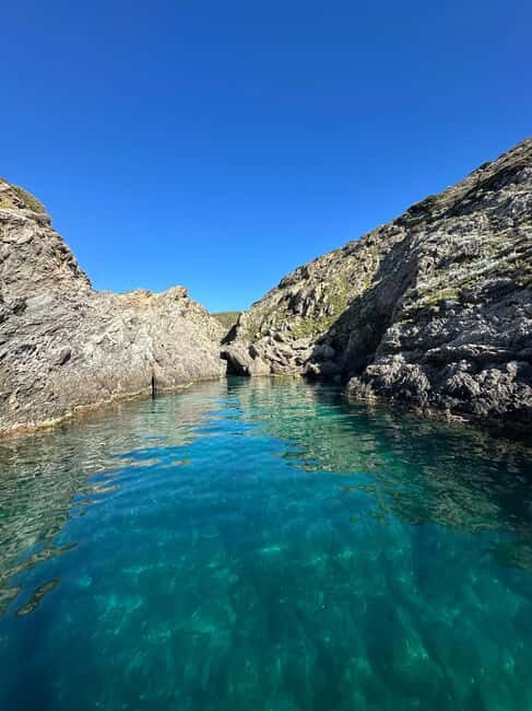 Discover the Îles d'Or in a new private boat for 8 people. - A Closer Look at the Experience