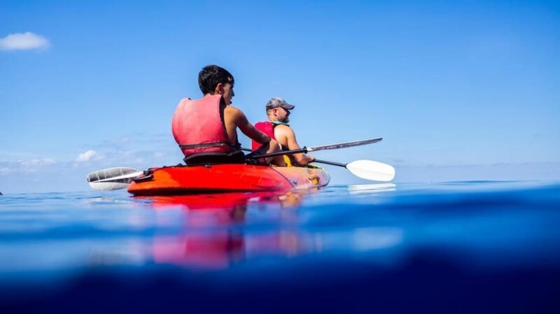 Discover the Island Dragonera by kayak and on foot - Why This Tour Offers Great Value