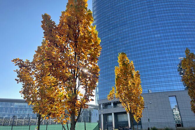Discover the Milano by Food - FAQs