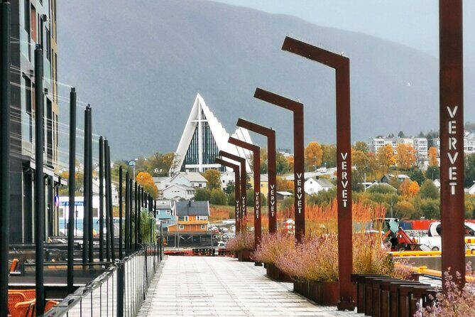 Discover the most Photogenic Spots of Tromsø with a Local - Discover the Most Photogenic Spots of Tromsø with a Local