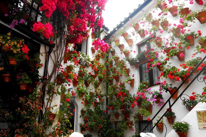 Discover the Patios de Córdoba: guided tour - A Deep Dive into the Patios de Córdoba Guided Tour