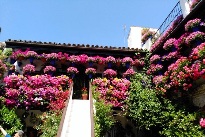 Discover the Patios de Córdoba: guided tour - Who Should Consider This Tour?