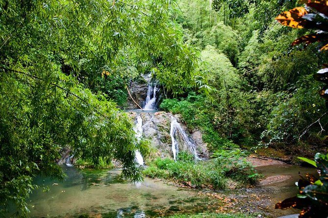 Discover the Rainforest - Who Is This Tour Best For?