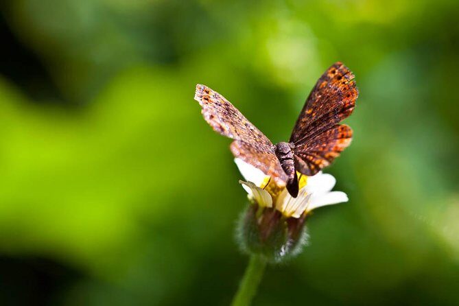 Discover the Rainforest - FAQ