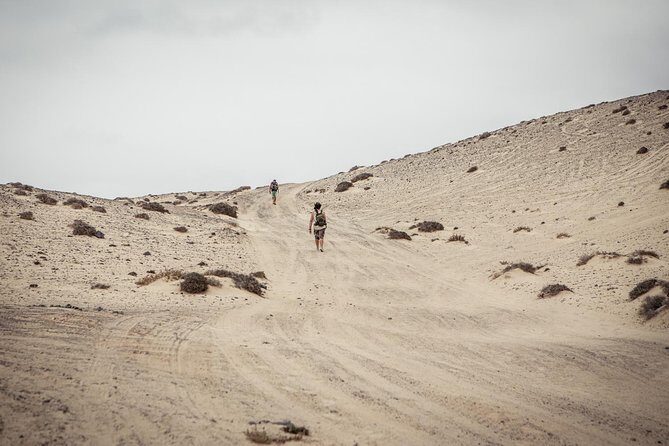 Discover the real Fuerteventura: extraordinary paths surrounded by nature - Key Points