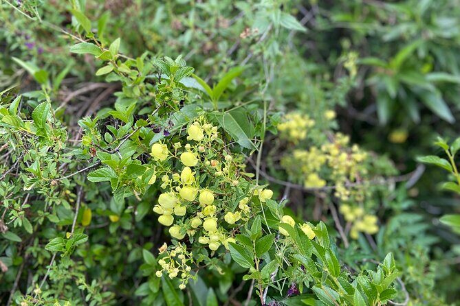 Discover the secrets of Andean nature in Pisac - FAQ