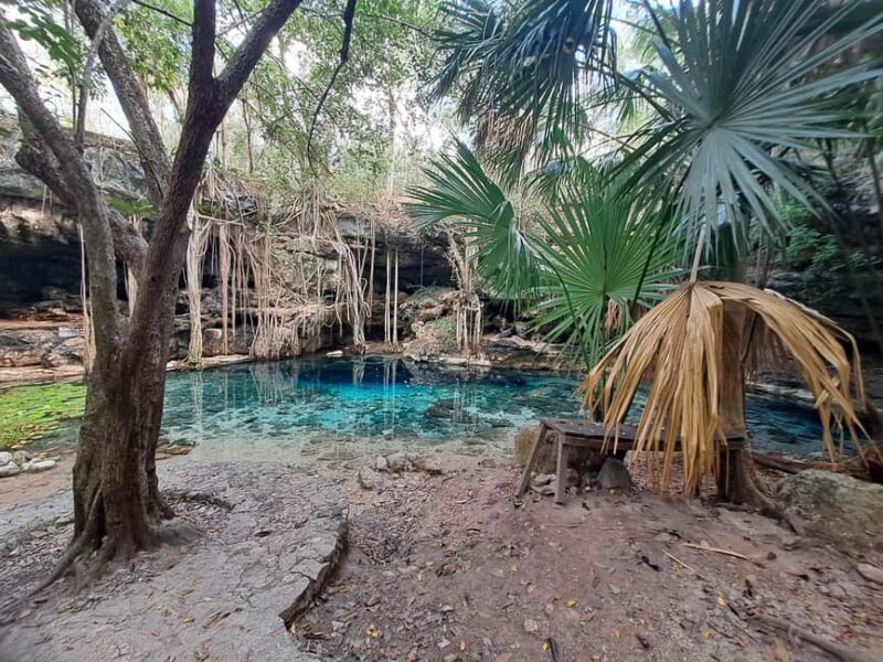 Discover the Serenity: A Tour of the Hidden Cenotes (PVT) - Key Points