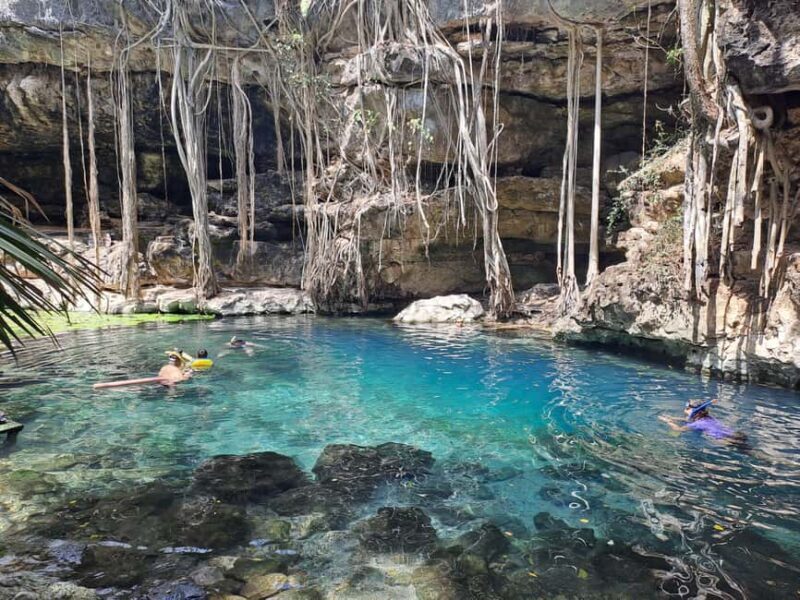 Discover the Serenity: A Tour of the Hidden Cenotes (PVT) - An In-Depth Look at Your Cenote Adventure