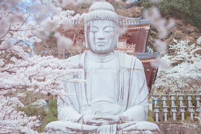 Discover the Timeless Charm and Natural Beauty of Nara - Exploring Nara: A Journey Through Culture and Nature