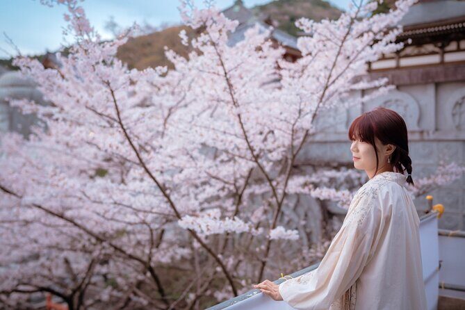 Discover the Timeless Charm and Natural Beauty of Nara - Final Thoughts