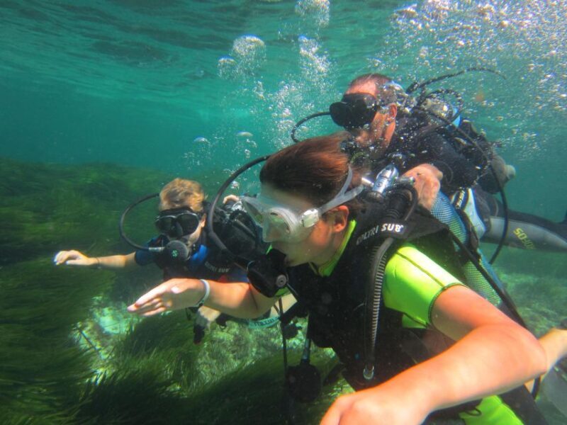 DISCOVER THE UNDERWATER WORLD, Scuba Diving Experience - Why This Experience Is Worth Considering