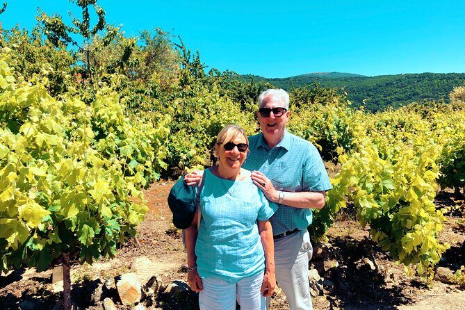Discover the unique wine and villages of the Sierra de Salamanca - Why This Tour Is Worth It