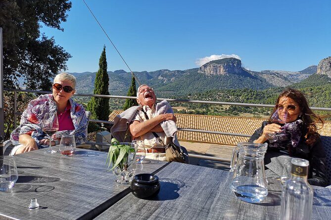 Discover the varieties of wines, olive oil and food on Mallorca - Who Will Appreciate This Tour?