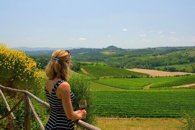 Discover the wine producers of Emilia Romagna - Key Points