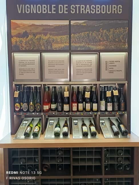 Discover the Wines of Alsace and a brief introduction to Strasbourg. - Final Thoughts: Is This Tour for You?
