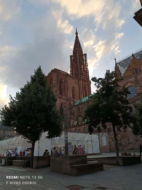 Discover the Wines of Alsace and a brief introduction to Strasbourg. - To sum it up