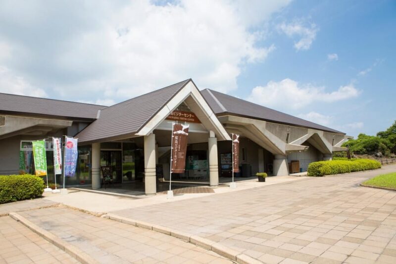 Discover the Wonder of Sakurajima Half Day Tour in Kagoshima - Who Should Consider This Tour?