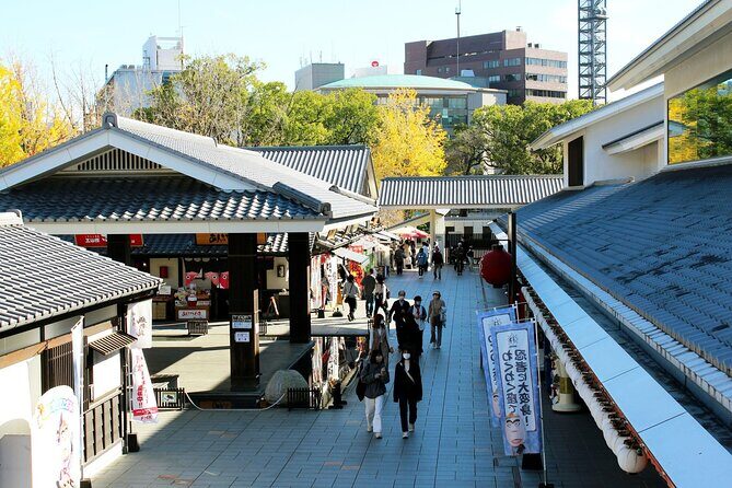 Discover the Wonders of Kumamoto Tour Ramen lunch included - Exploring Kumamoto: An Authentic and Practical Tour