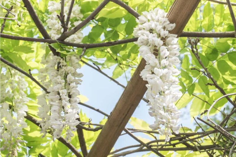 Discover the World of Herbs in the National Garden of Athens - Who Would Love This Tour?