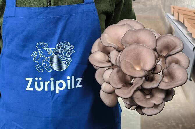 Discover the World of Mushrooms - Exploring Zurich’s Hidden Mushroom World: A Detailed Review